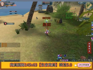 完美国际145v63【东京完美】瞬发5.0