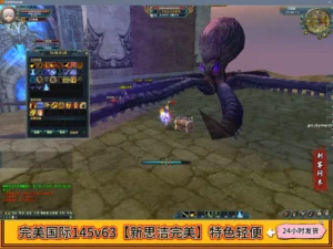 完美国际145v63【新思洁完美】特色轻便