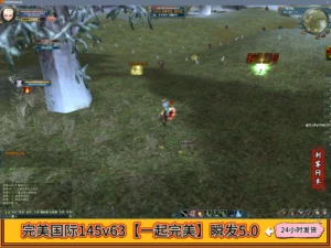 完美国际145v63【一起完美】瞬发5.0