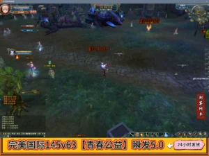 完美国际145v63【青春公益】瞬发5.0